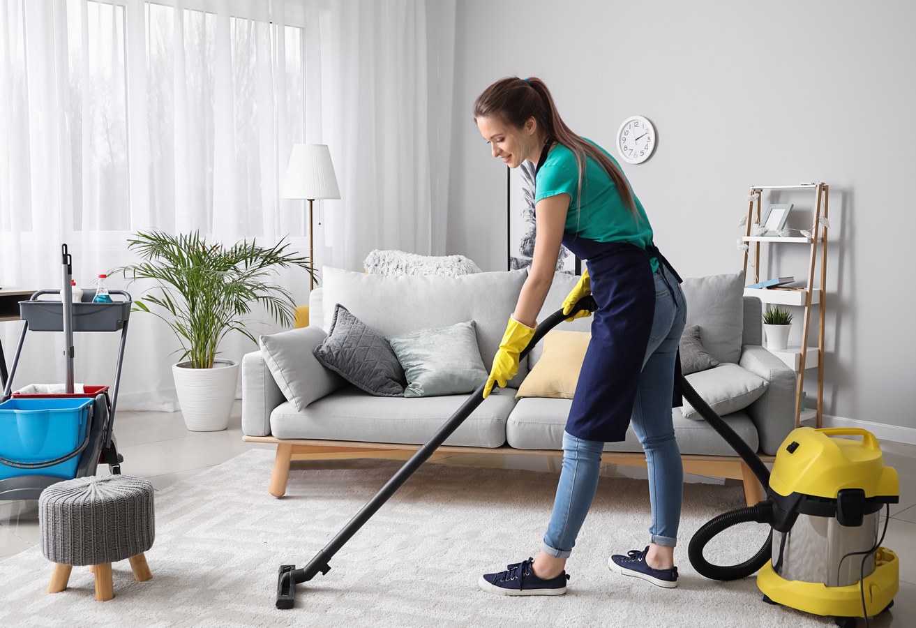 Entretien Ménager pour Particuliers à Orléans Entretien Ménager pour Particuliers à Orléans